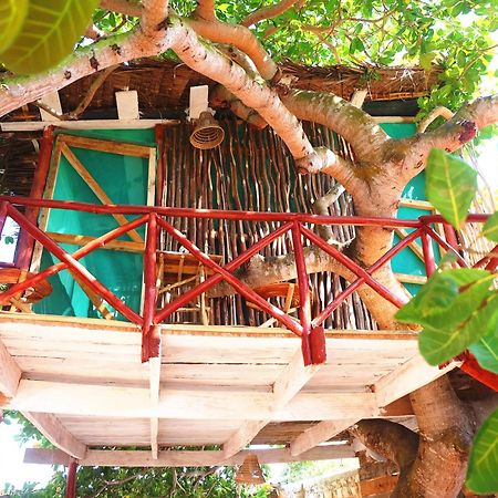Diani Hostel Diani Beach Dış mekan fotoğraf