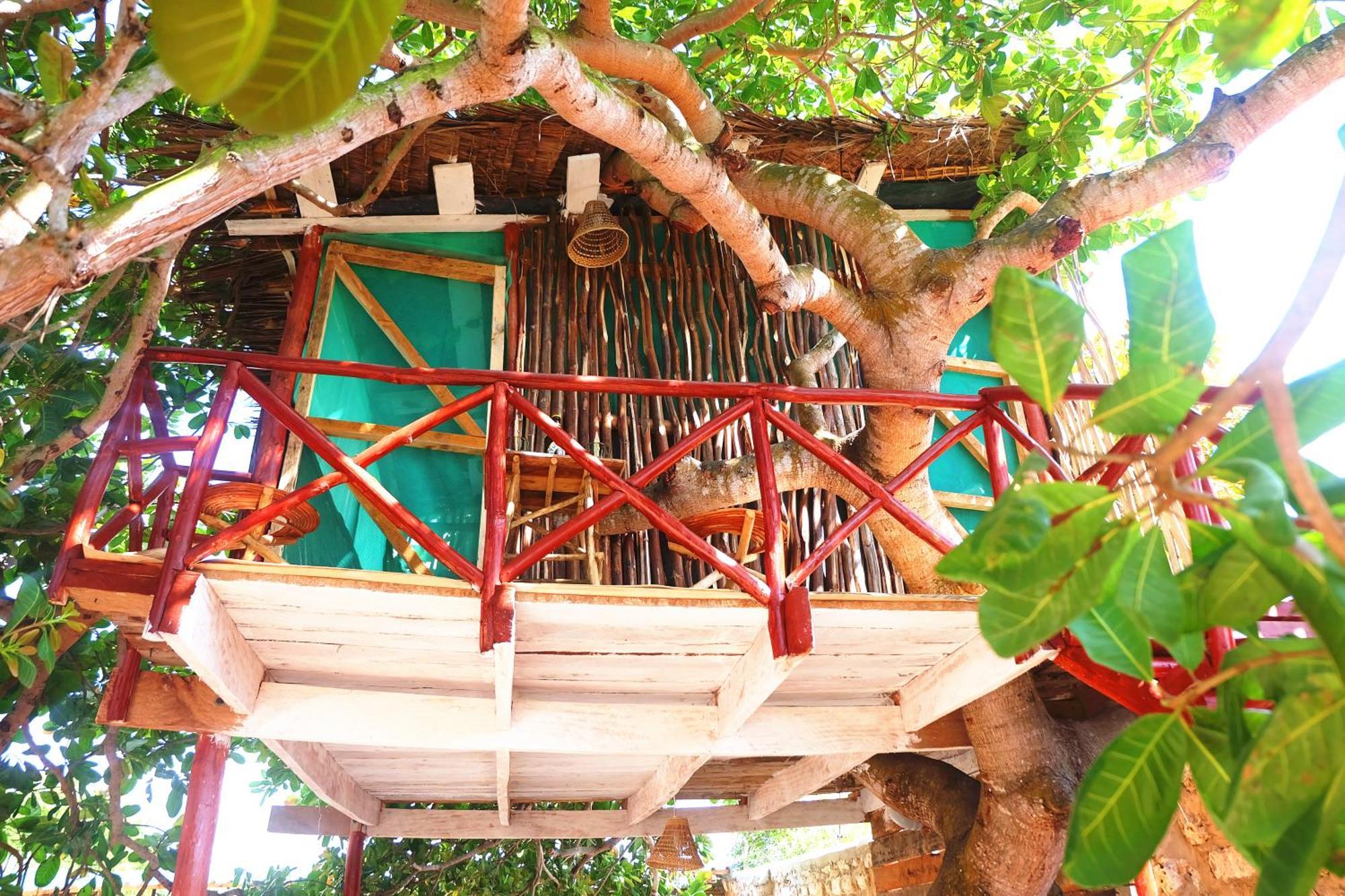 Diani Hostel Diani Beach Dış mekan fotoğraf