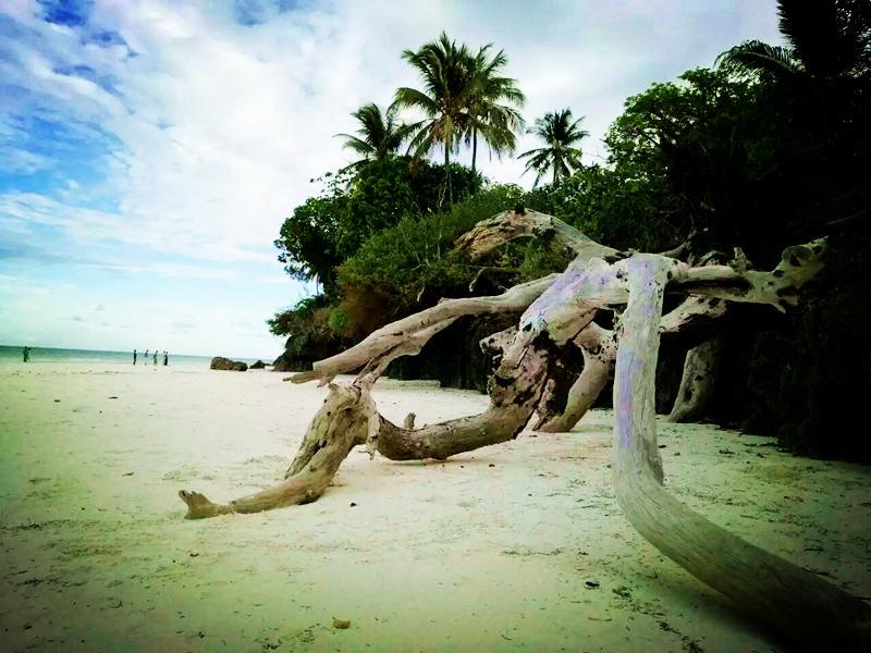 Diani Hostel Diani Beach Dış mekan fotoğraf