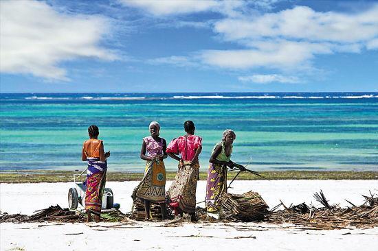 Diani Hostel Diani Beach Dış mekan fotoğraf