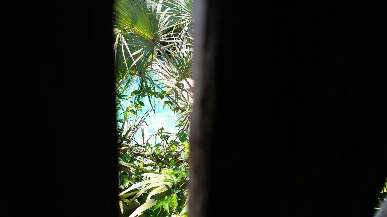 Diani Hostel Diani Beach Dış mekan fotoğraf