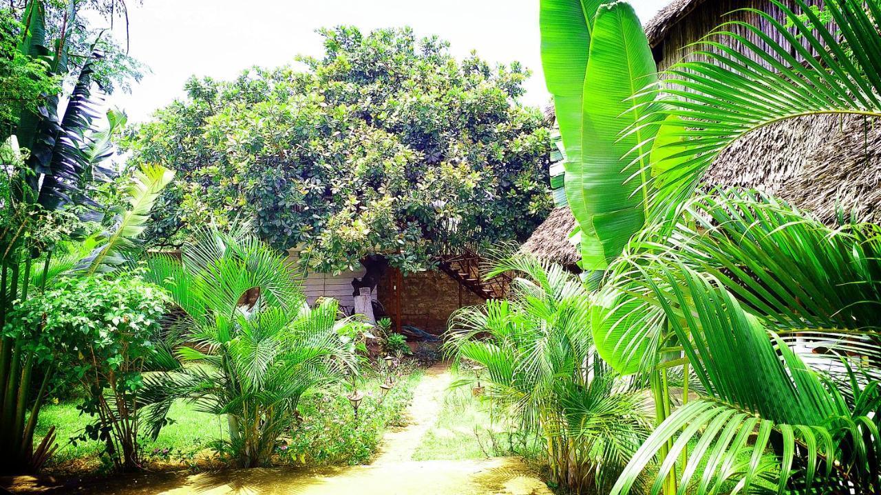 Diani Hostel Diani Beach Dış mekan fotoğraf